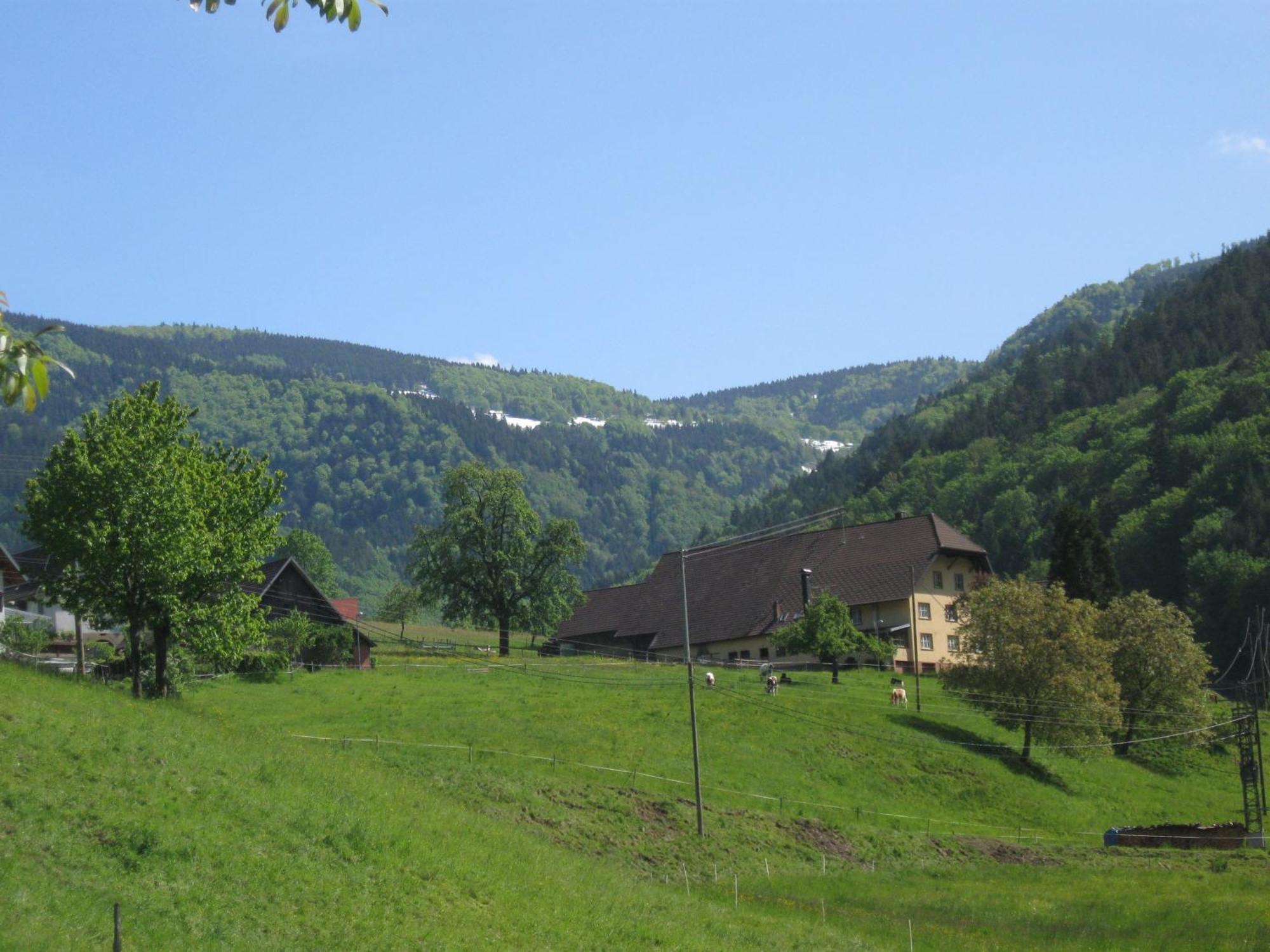 Hotel Gasthaus Ratsstueble Garni à Simonswald Extérieur photo