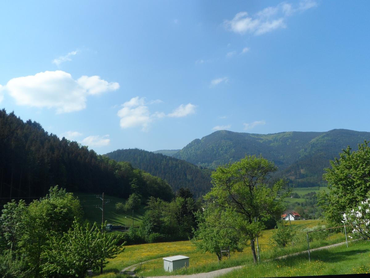 Hotel Gasthaus Ratsstueble Garni à Simonswald Extérieur photo