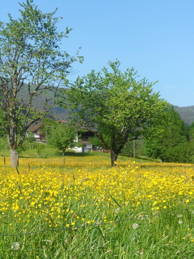 Hotel Gasthaus Ratsstueble Garni à Simonswald Extérieur photo